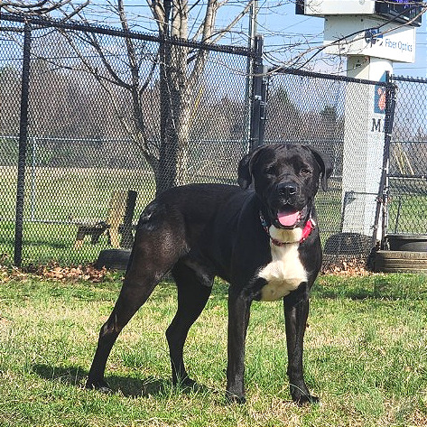 Vince — thumbnail 3