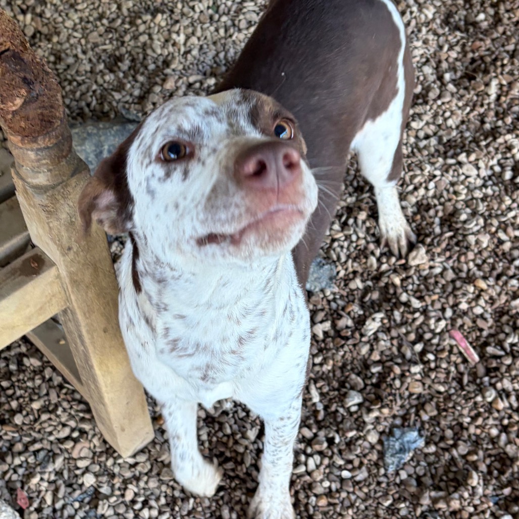 Gayle — thumbnail 4