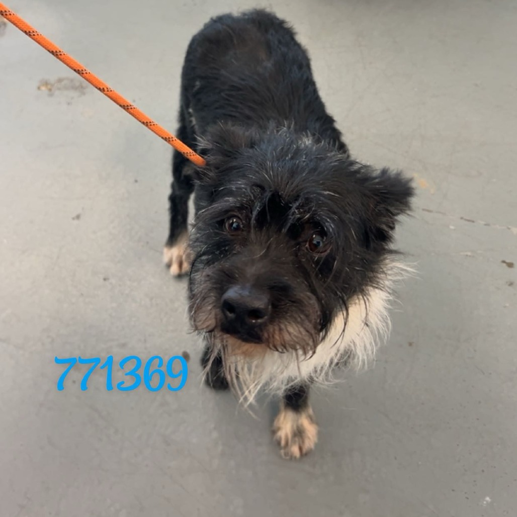 FINNEGAN — thumbnail 2