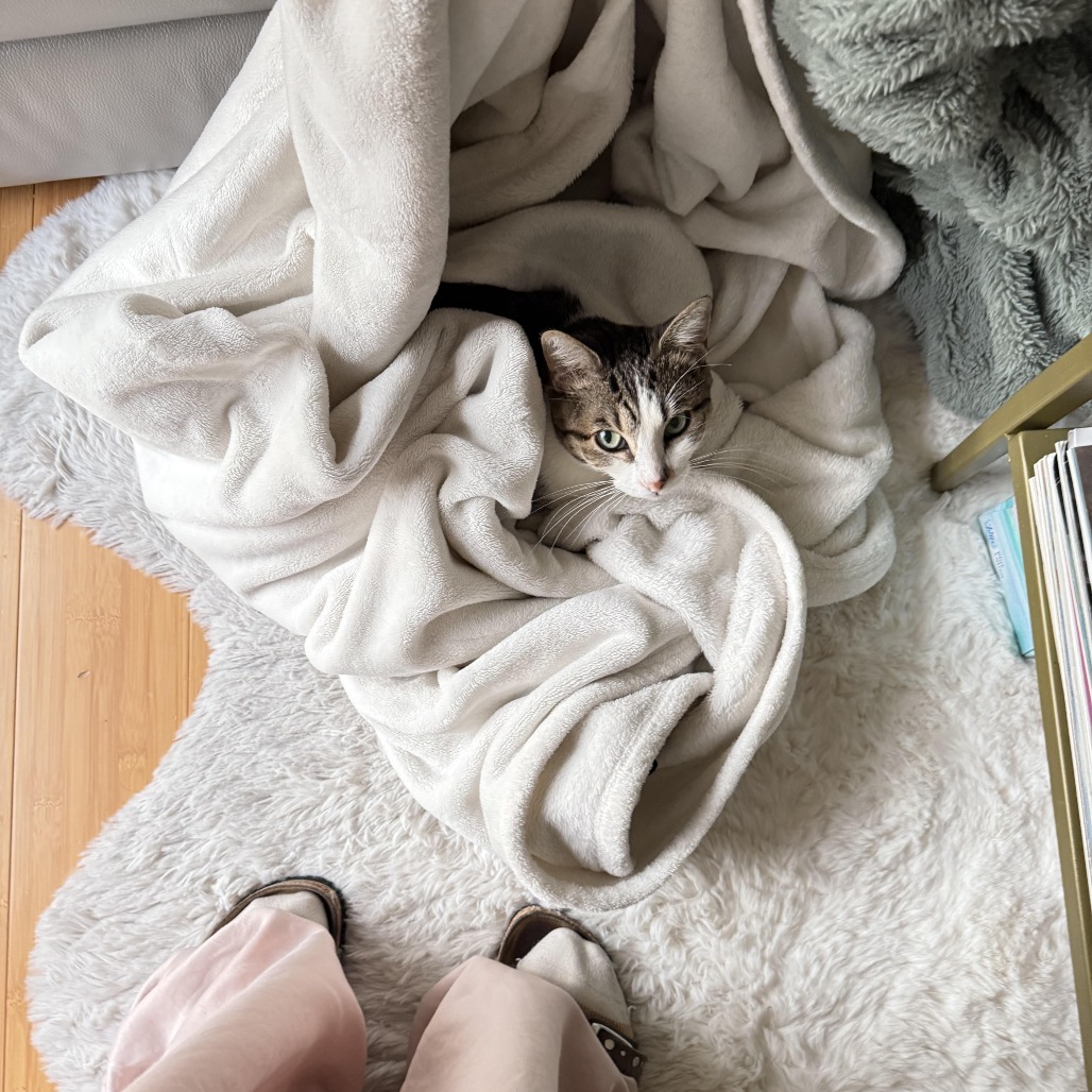 BIJOU, photo 4