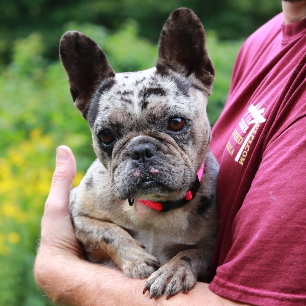 CT Eva - avail Sept 12