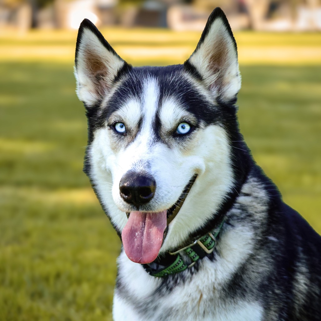 OAKLEY, photo 14