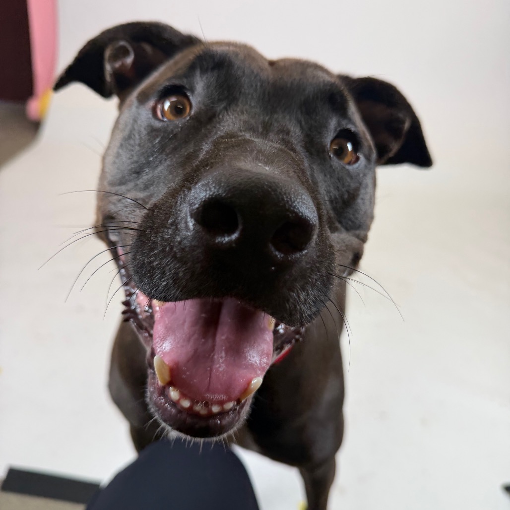 Max