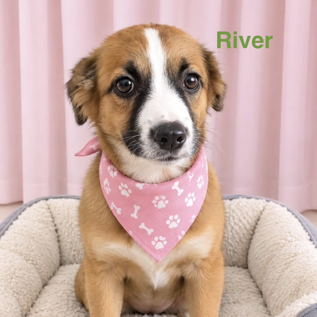 River