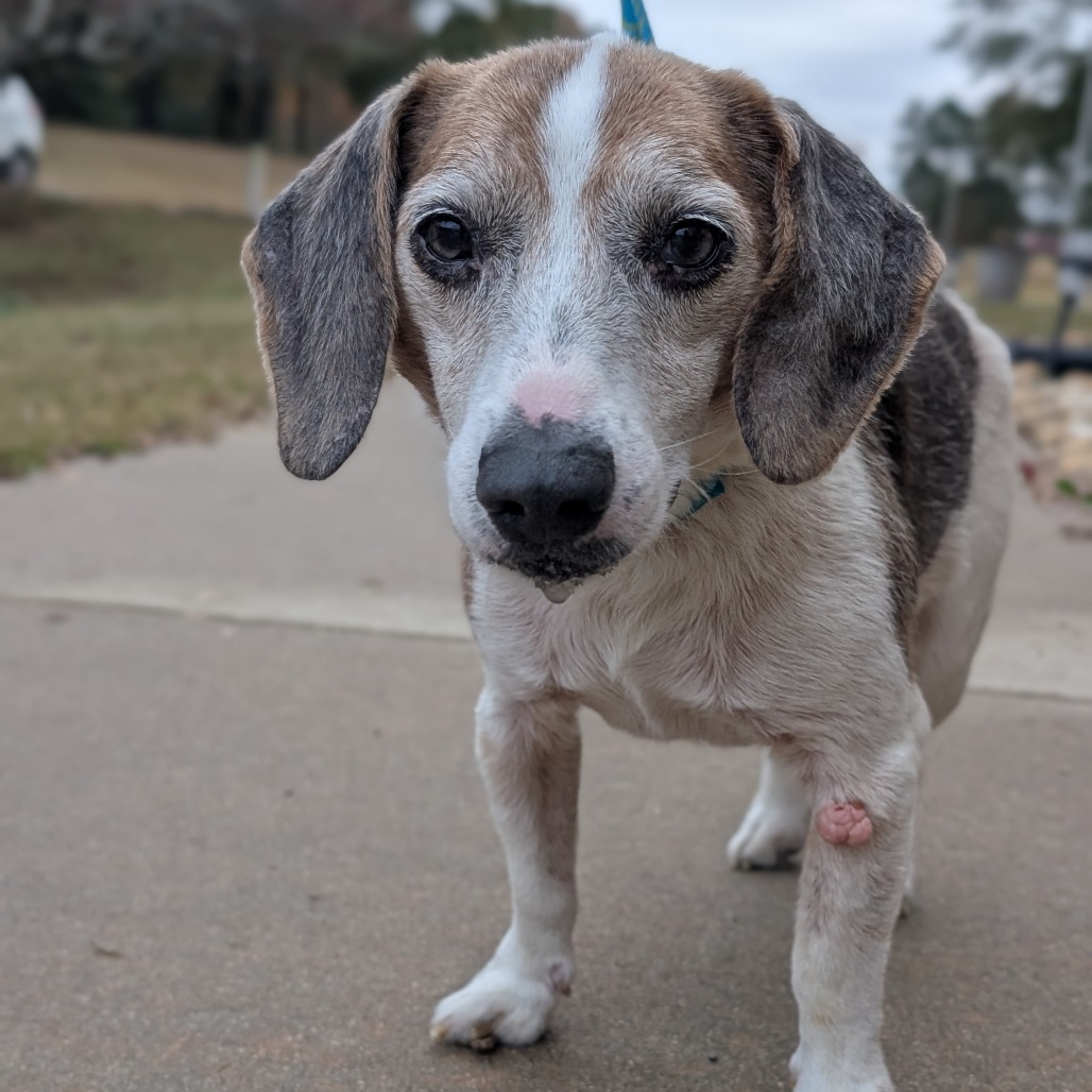 Eddie(HW+) 11-0708, photo 5