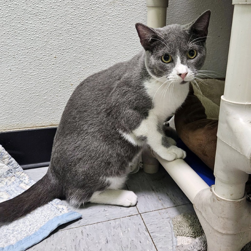 Mister Ralph — thumbnail 11