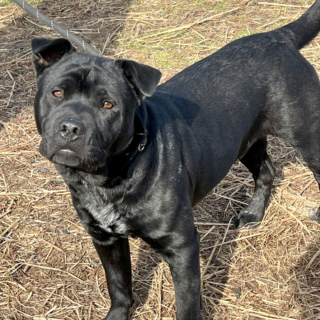 Leroy — thumbnail 8