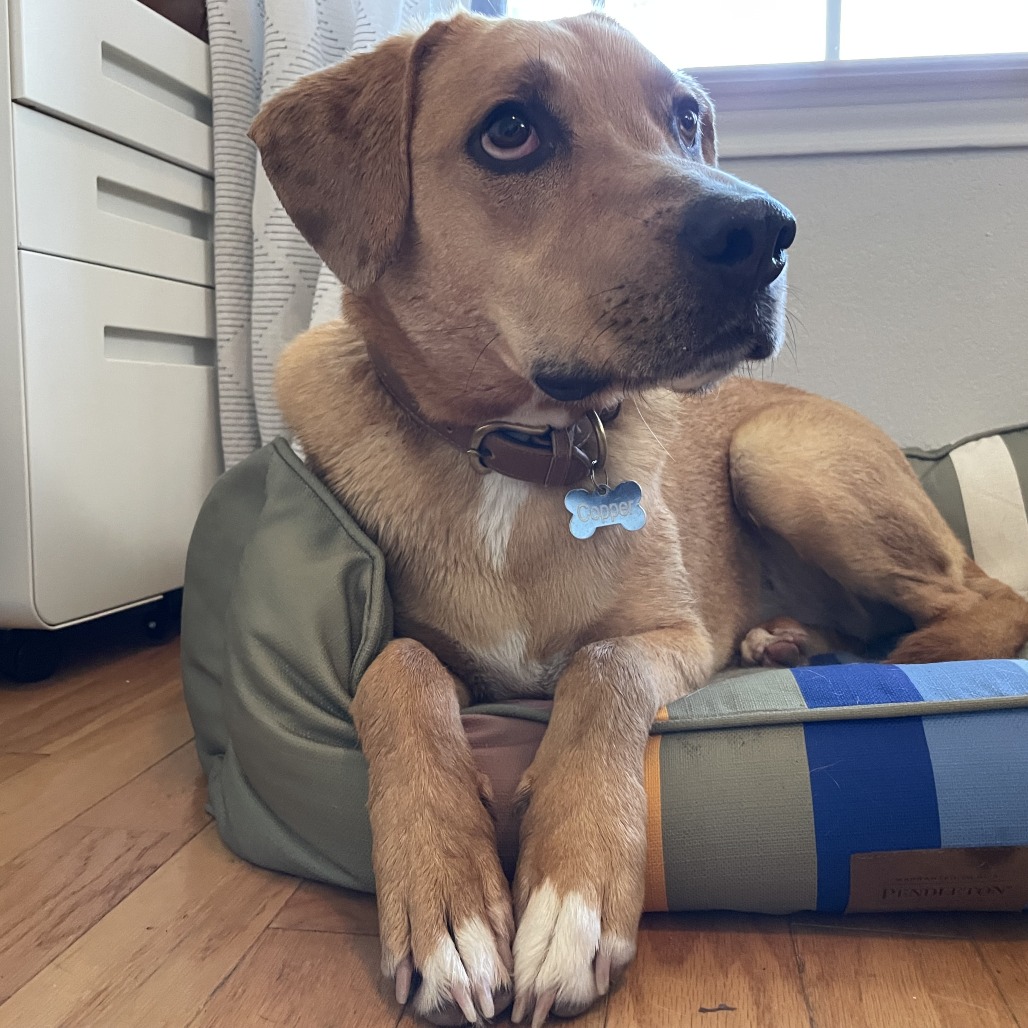 Marx — thumbnail 2