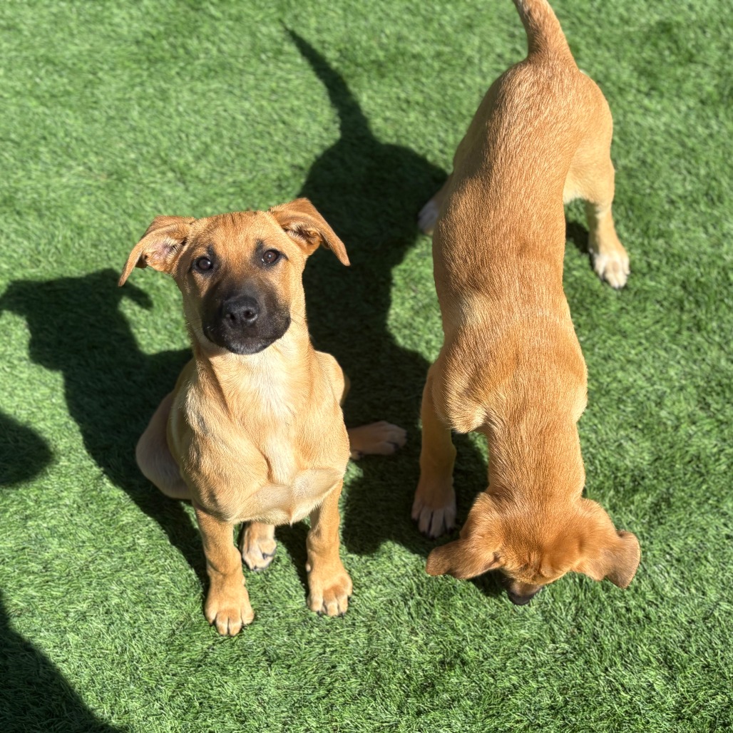 Thing 1 — thumbnail 8