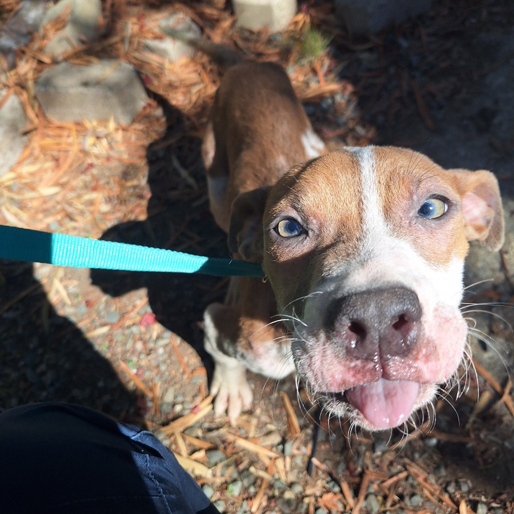 Kennel#26 Blair's preview photo