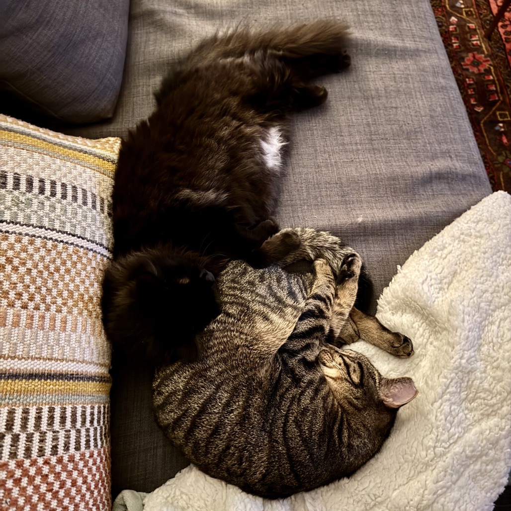 Franky — thumbnail 3