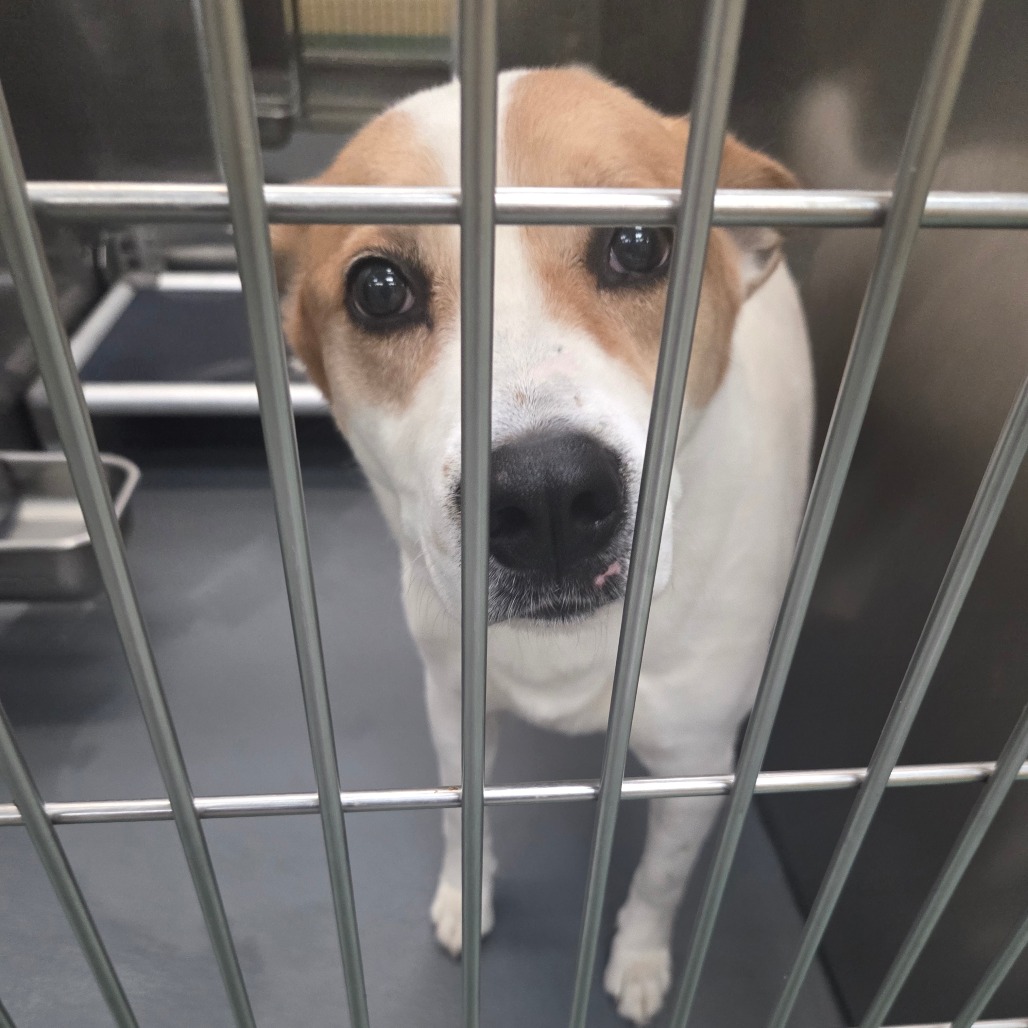 Marvel — thumbnail 4