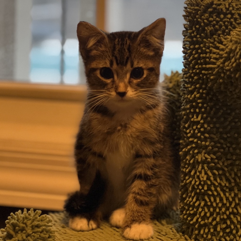 Bender — thumbnail 3