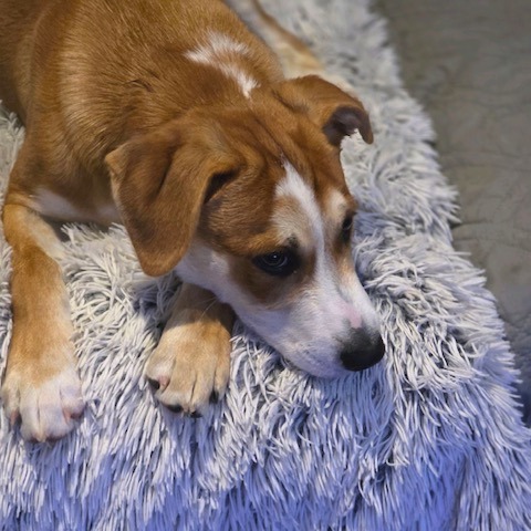 Marco, photo 9