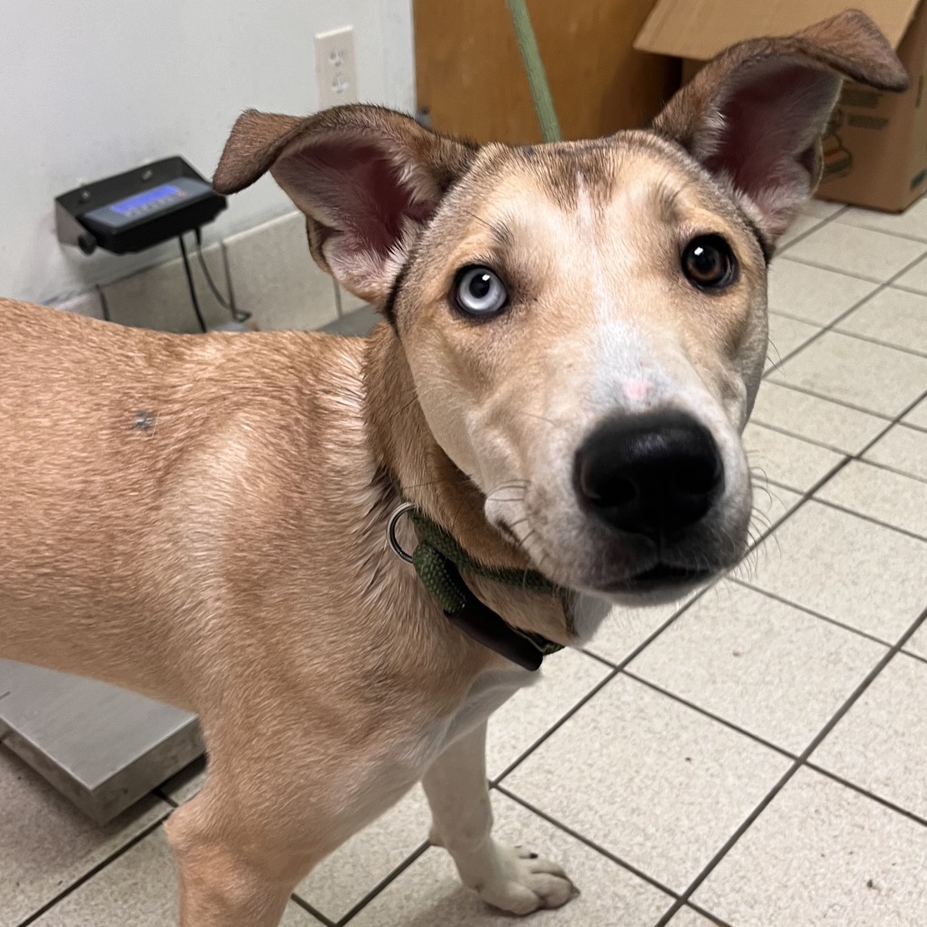 Maggie — thumbnail 4