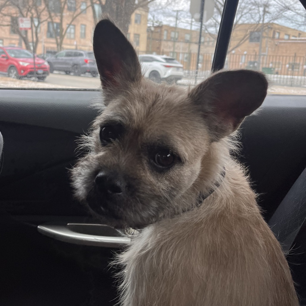 Gloria — thumbnail 3