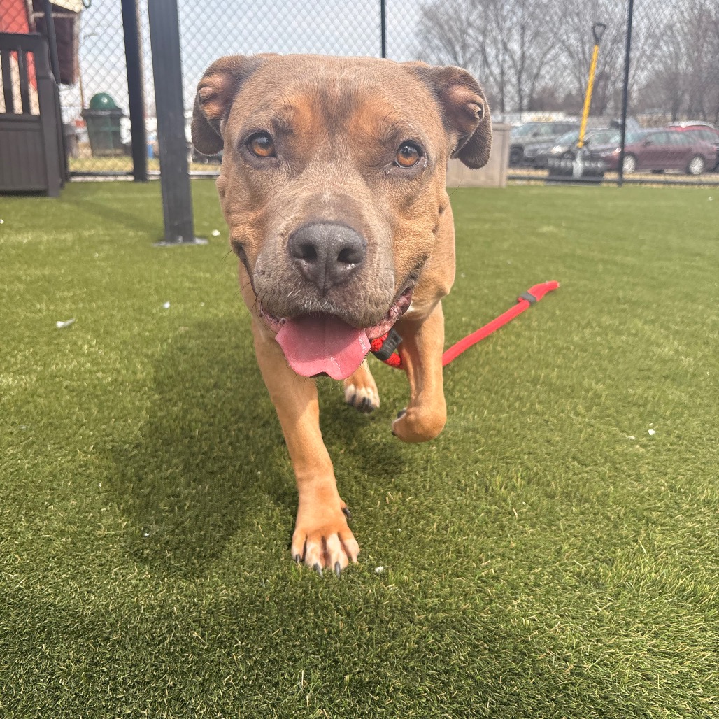 Marsadie — thumbnail 2