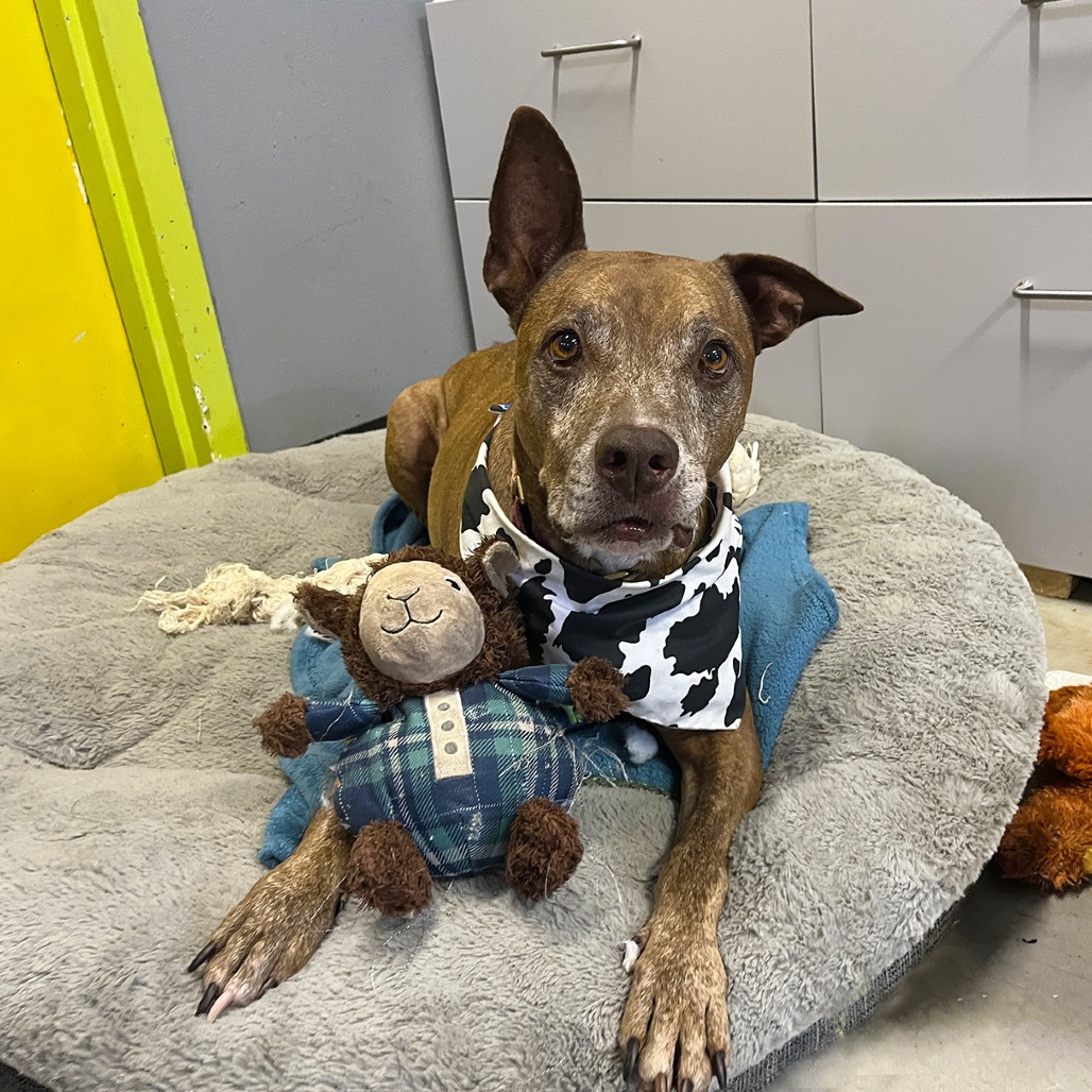 Melon Loaf, additional photo