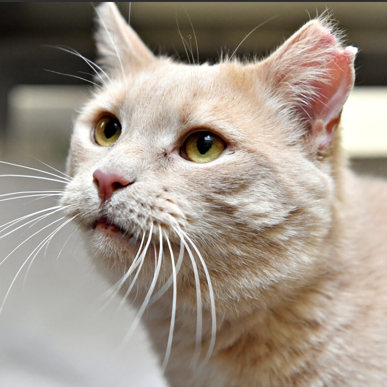 f2bc25a99098ed80b4bcb1224ce69e8b