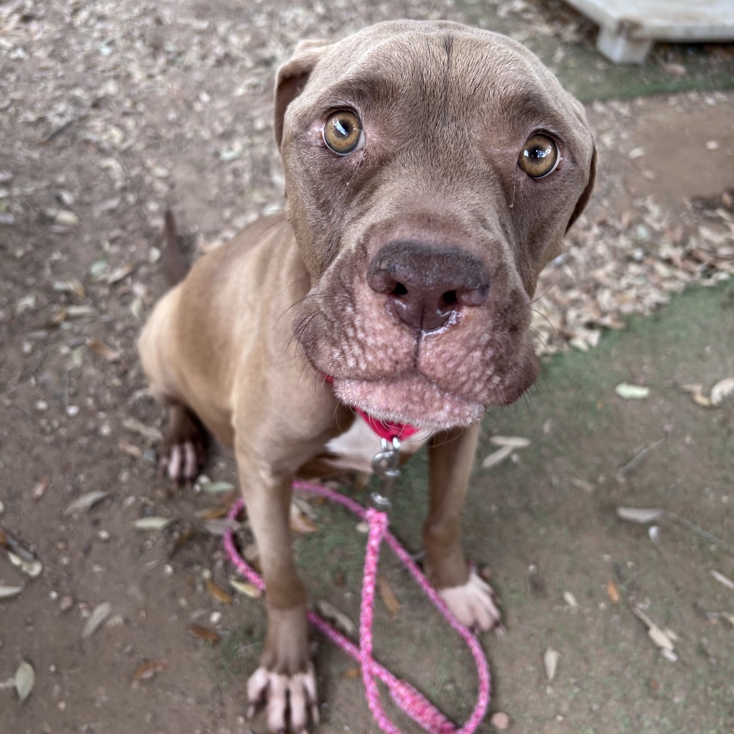 Princess Buttercup — thumbnail 9