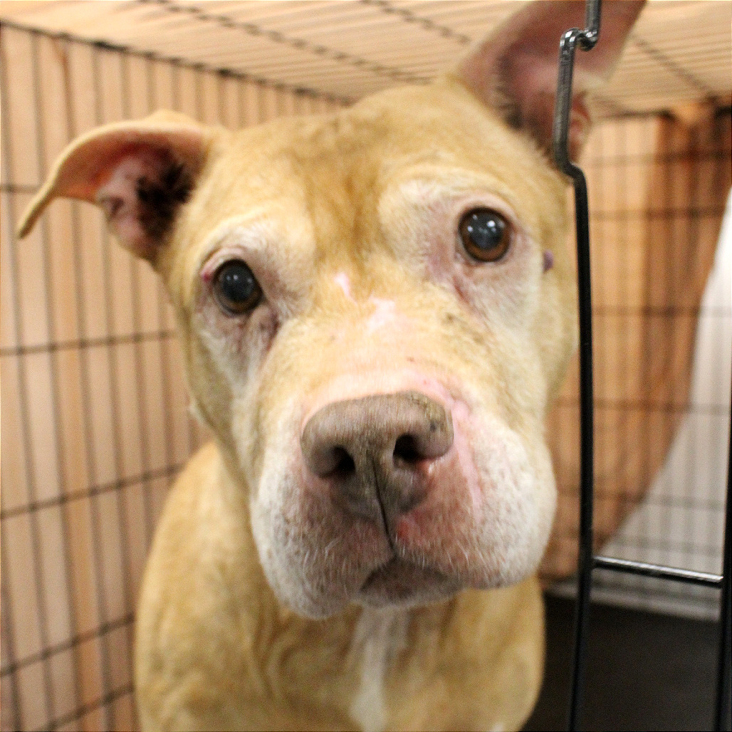 Sandy — thumbnail 2