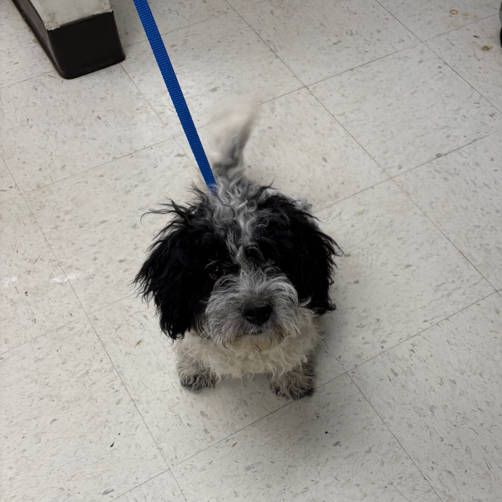 Salt — thumbnail 2