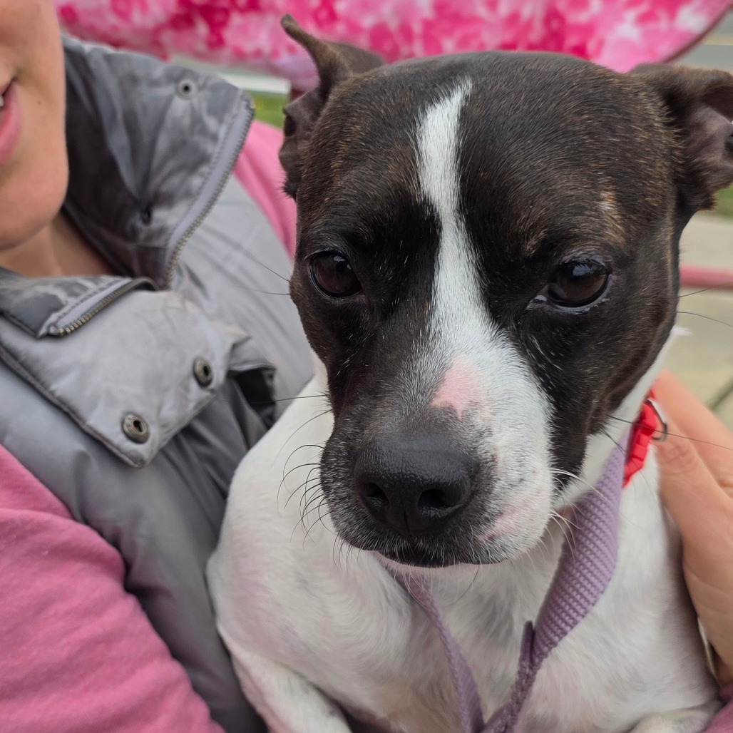 LENA — thumbnail 5