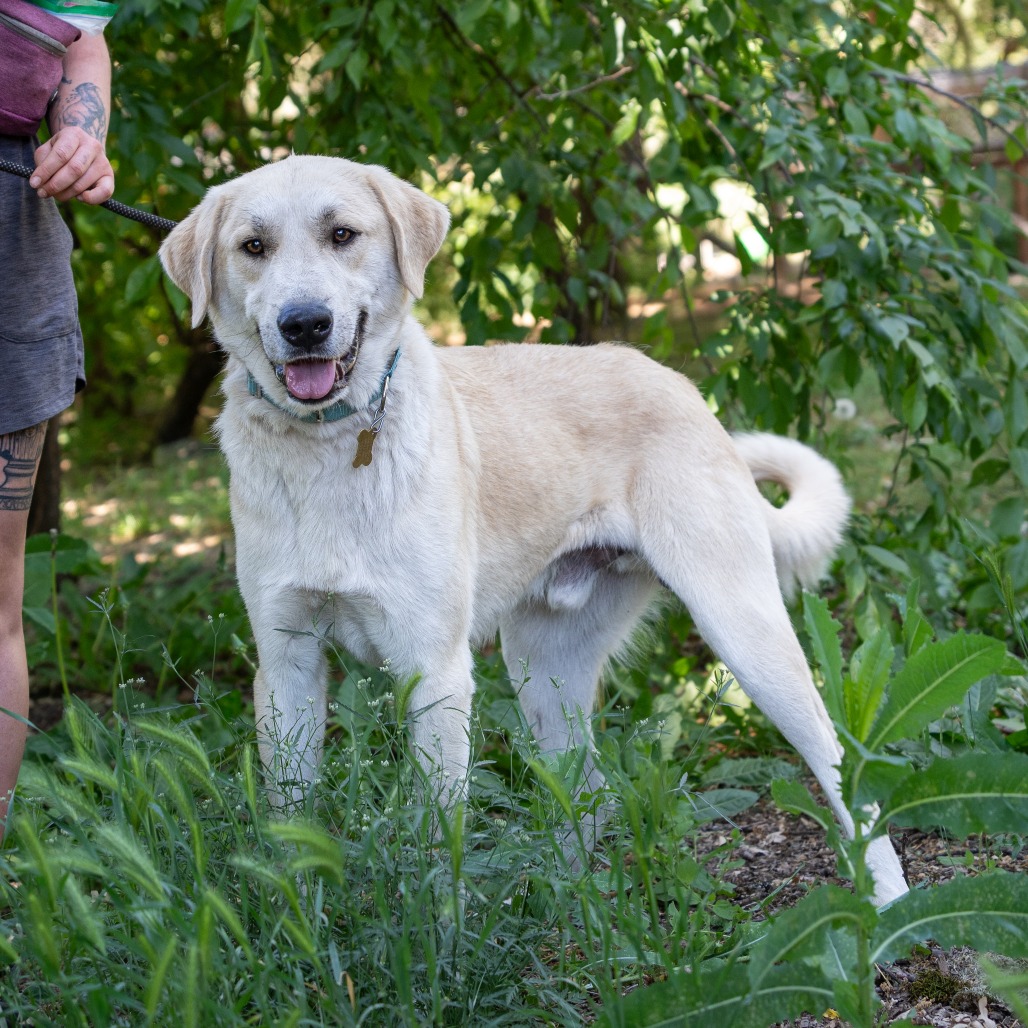 STANLEY, photo 4