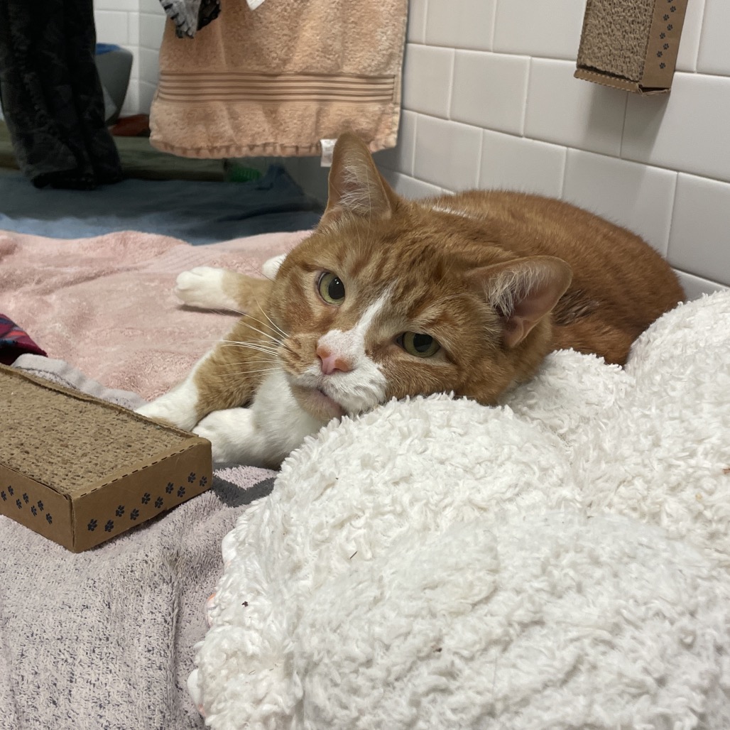 Photo of Freddy and QZ 22