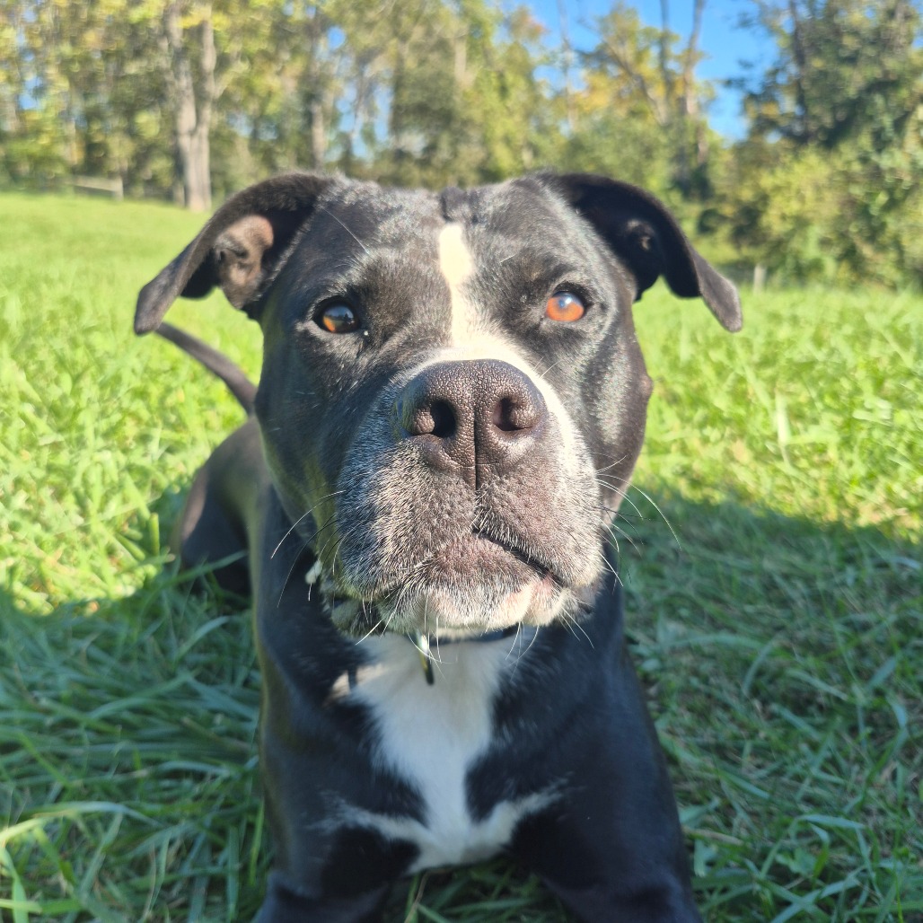 Luna, photo 24