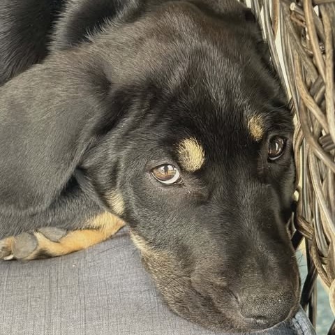 Photo of "Jakob" Jethro