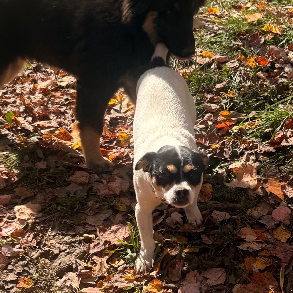 MYA, photo 9