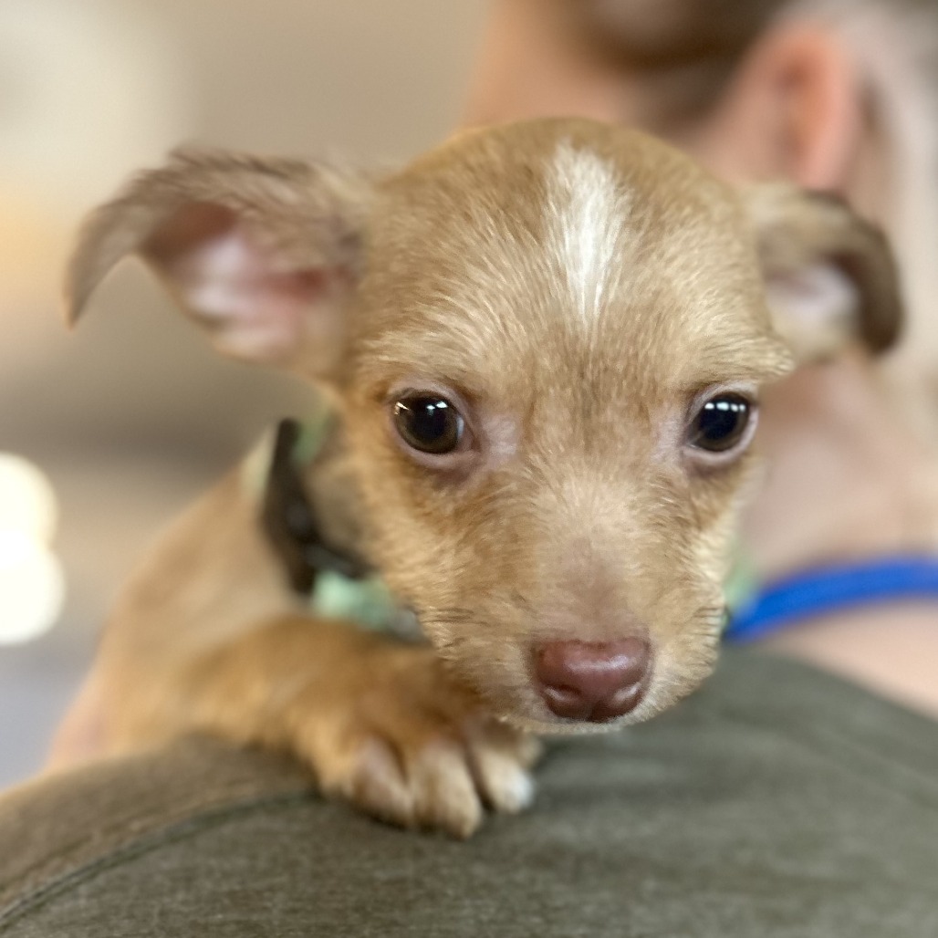 Mars — thumbnail 2