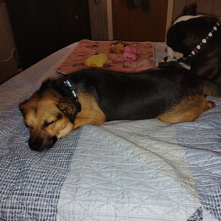 Butters photo 3