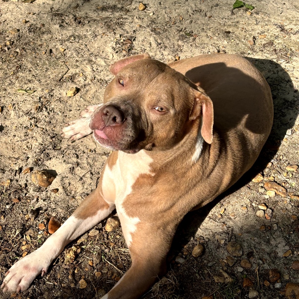 Manny formerly Lil Man, photo 13