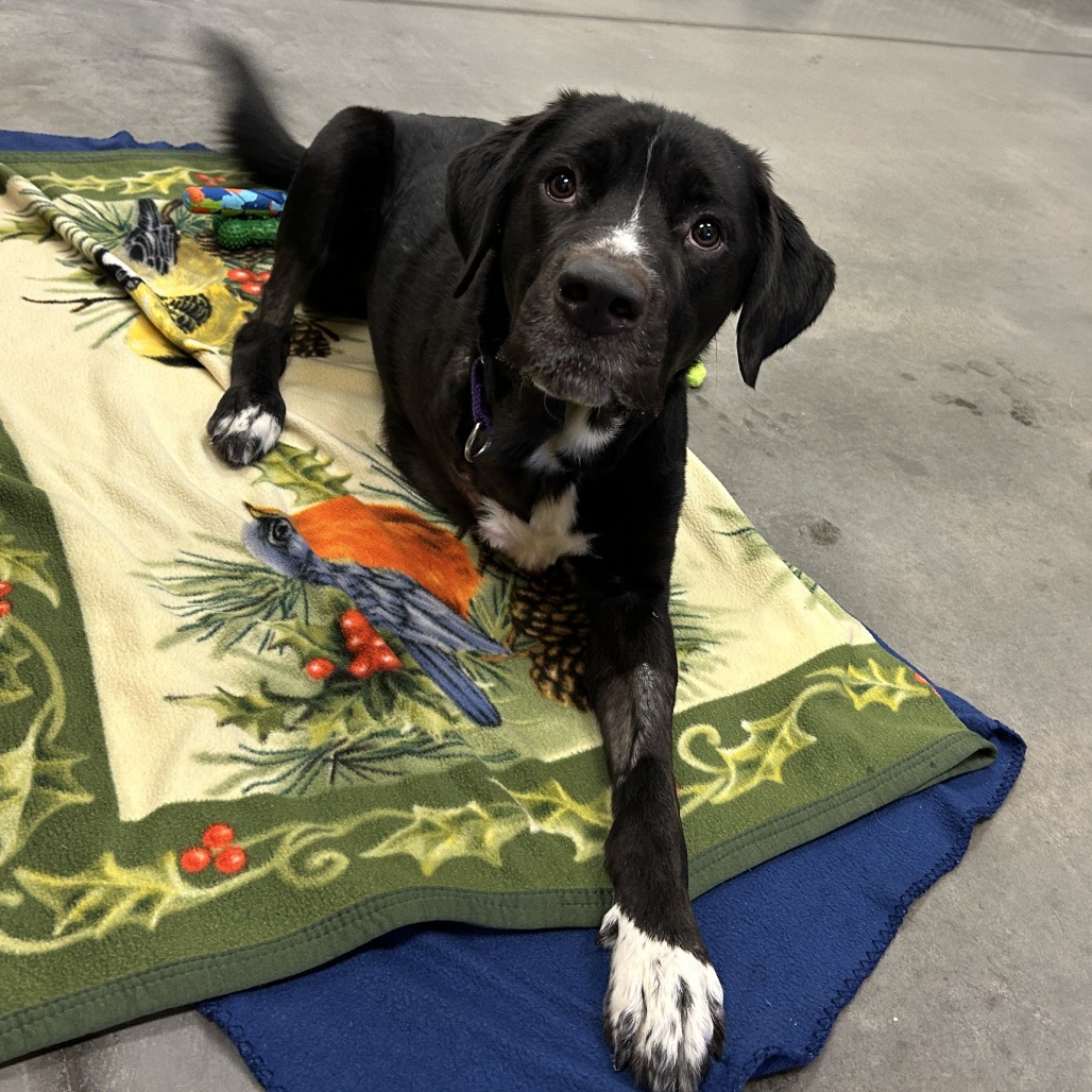 Photo of T.L. Frank 9