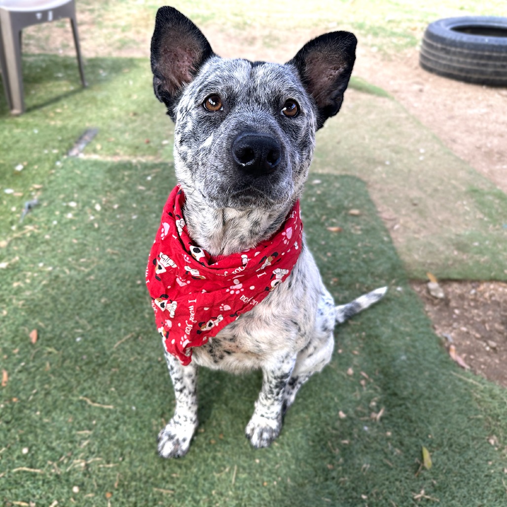 Carl — thumbnail 10