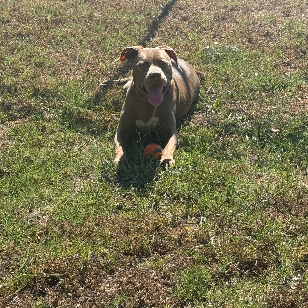 Bella photo 4