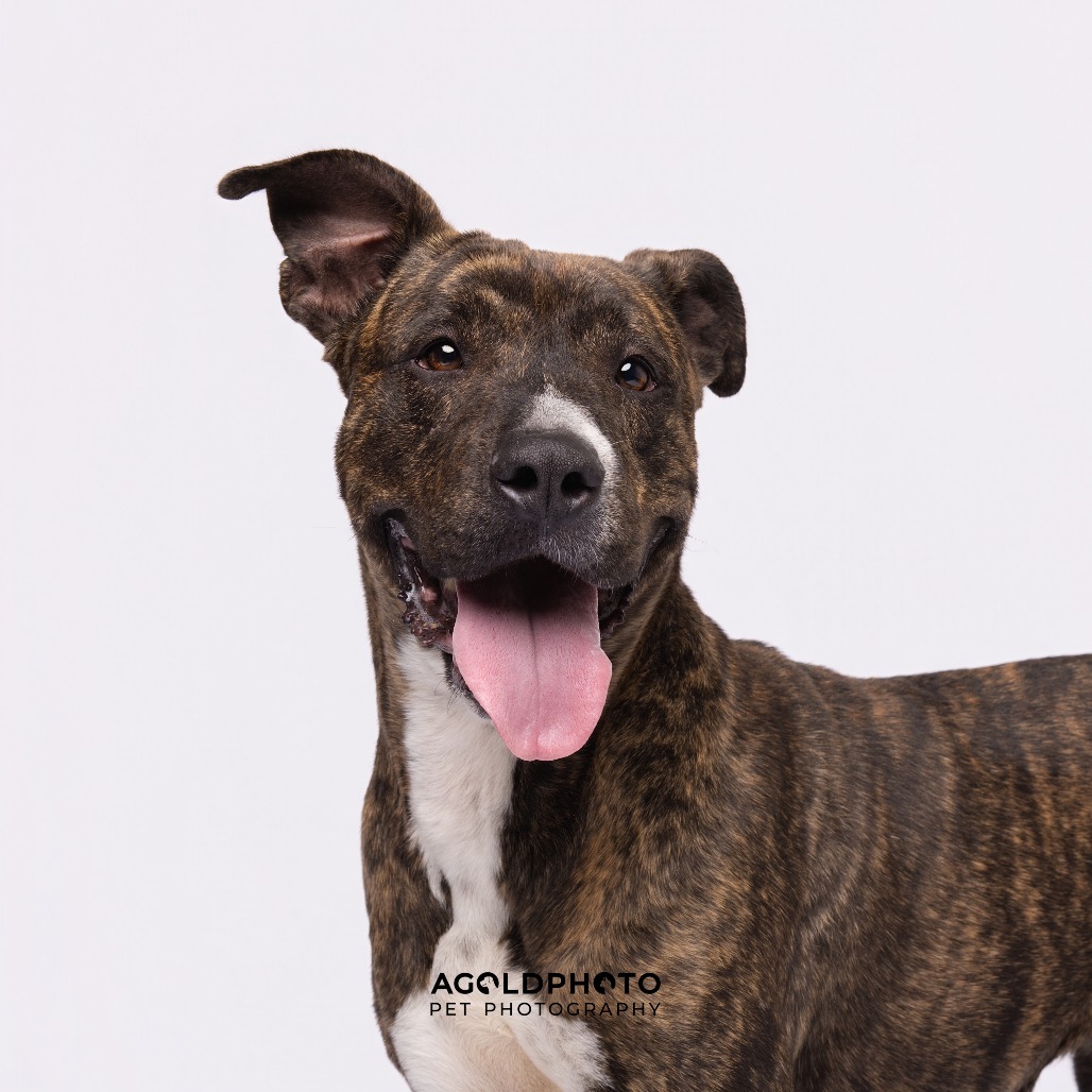 Lana — thumbnail 4