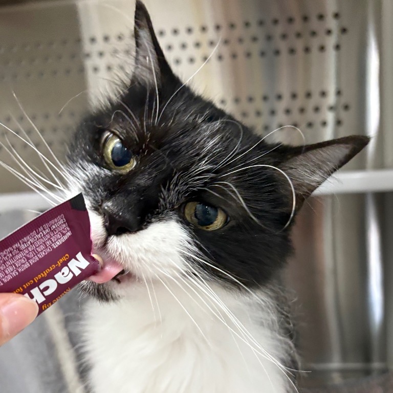 Full body shot of Parsley