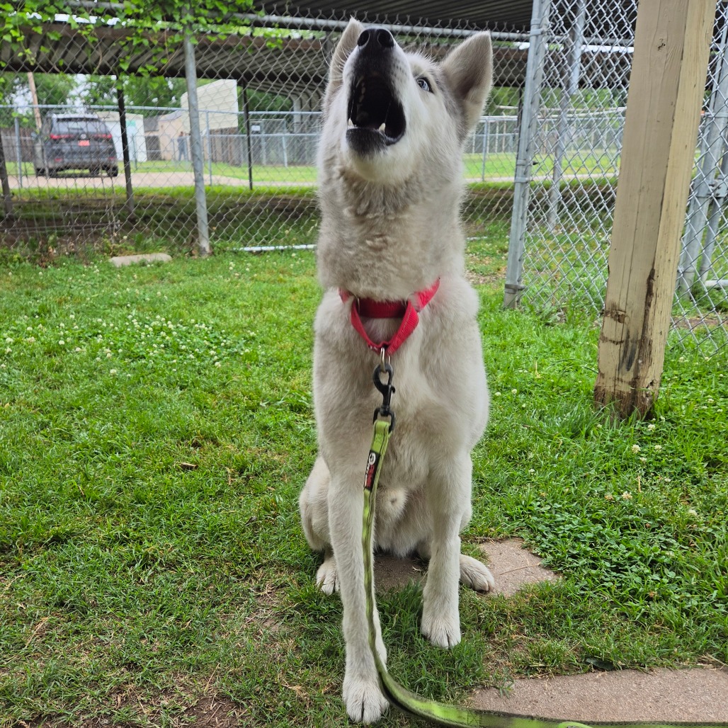 Casper photo 9