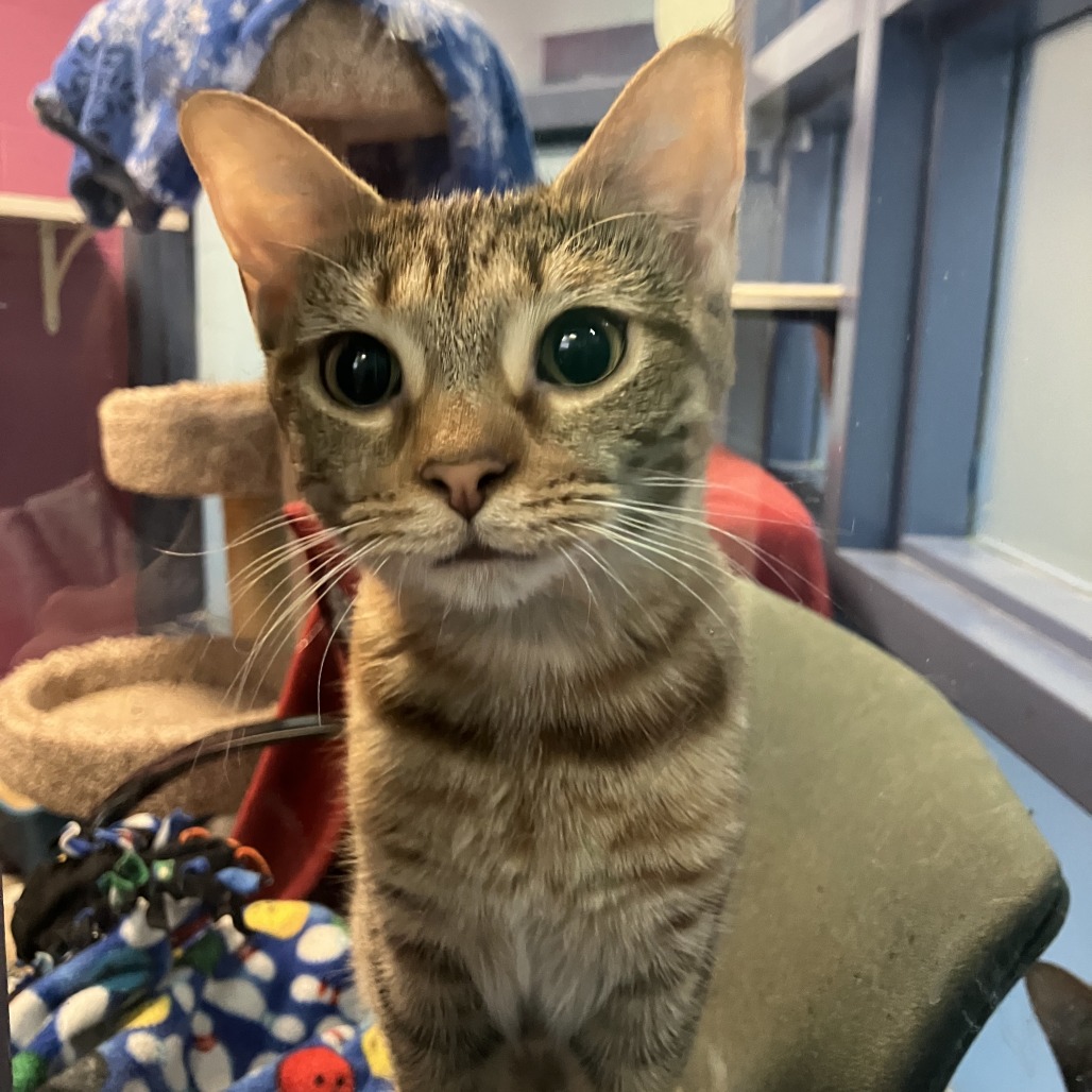 Photo of Havana and Canberra 5