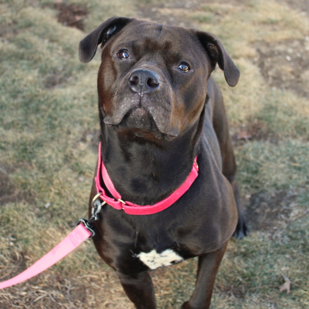 Miss Kokomo — thumbnail 4