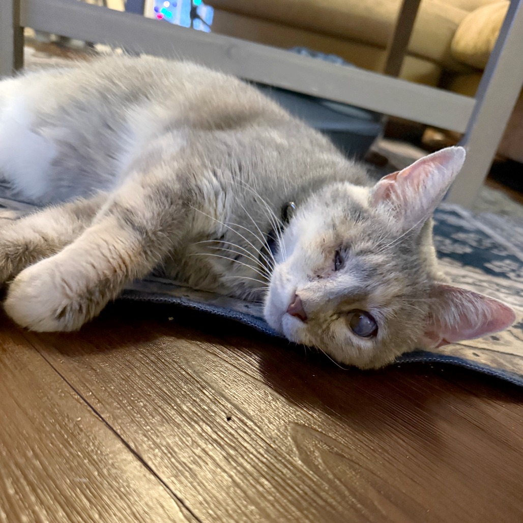 Elle Driver — thumbnail 7