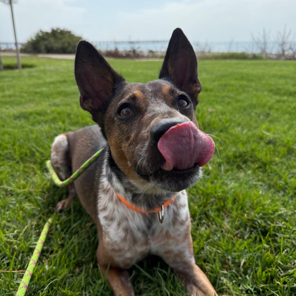 Cash, photo 7