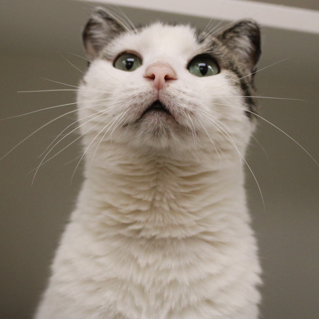 Alexis — thumbnail 3