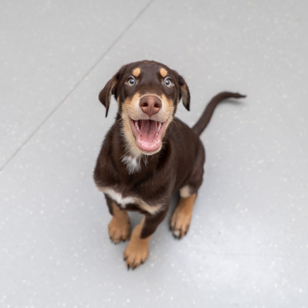 Copper