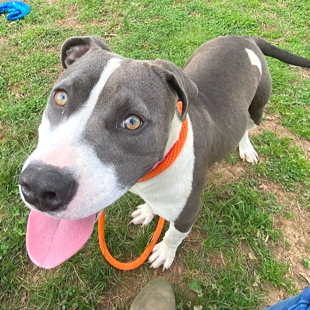 Luna Moon — thumbnail 9