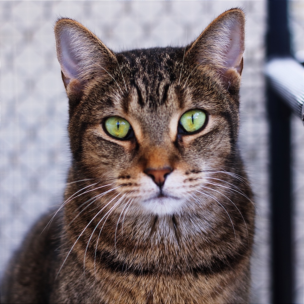 Another portrait of Dotty