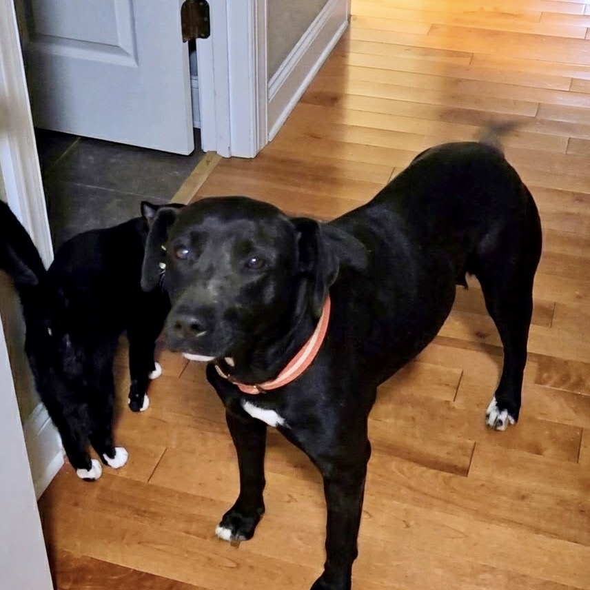 Emma Stone — thumbnail 4